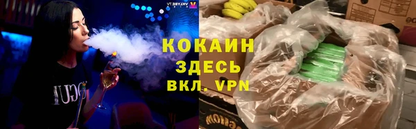 ПСИЛОЦИБИНОВЫЕ ГРИБЫ Богданович