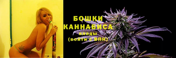 ПСИЛОЦИБИНОВЫЕ ГРИБЫ Богданович