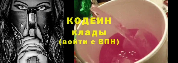 ПСИЛОЦИБИНОВЫЕ ГРИБЫ Богданович