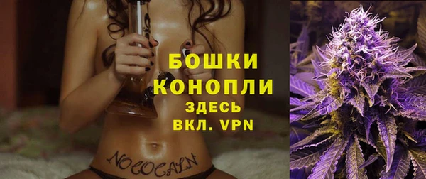 стафф Богородск